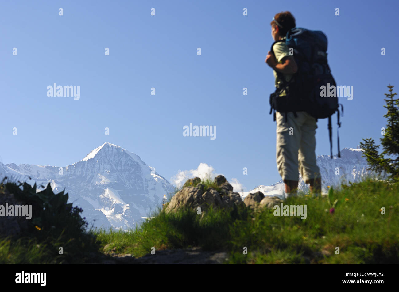Escursionista si erge contro lo sfondo delle alpi svizzere Foto Stock