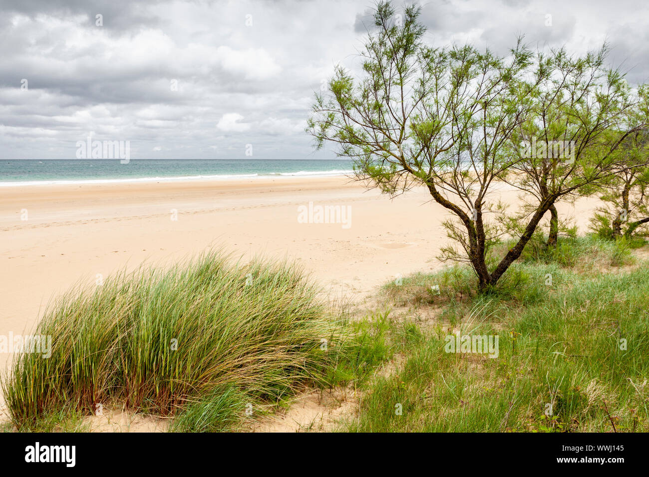 Trengandin spiaggia vicino a Noja village, Cantabria, SPAGNA Foto Stock