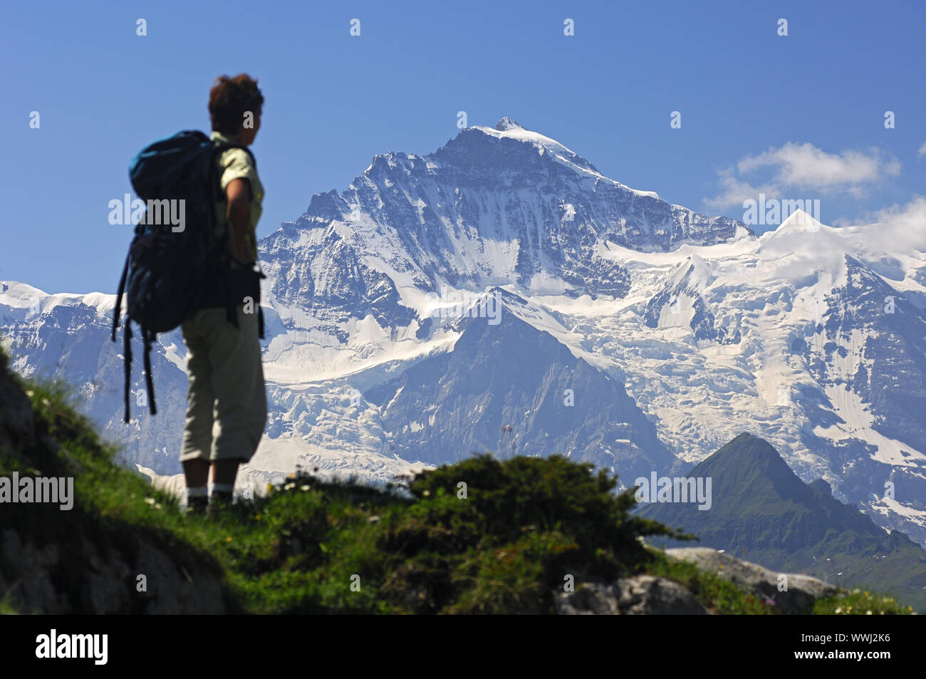 Escursionista guarda prima del vertice della Jungfrau Foto Stock