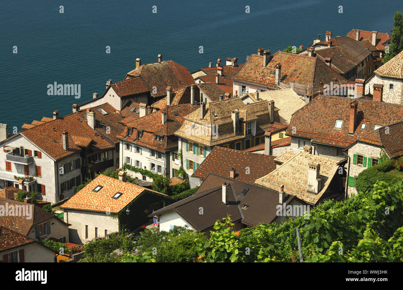 Saint-Saphorin sul Lago di Ginevra Foto Stock