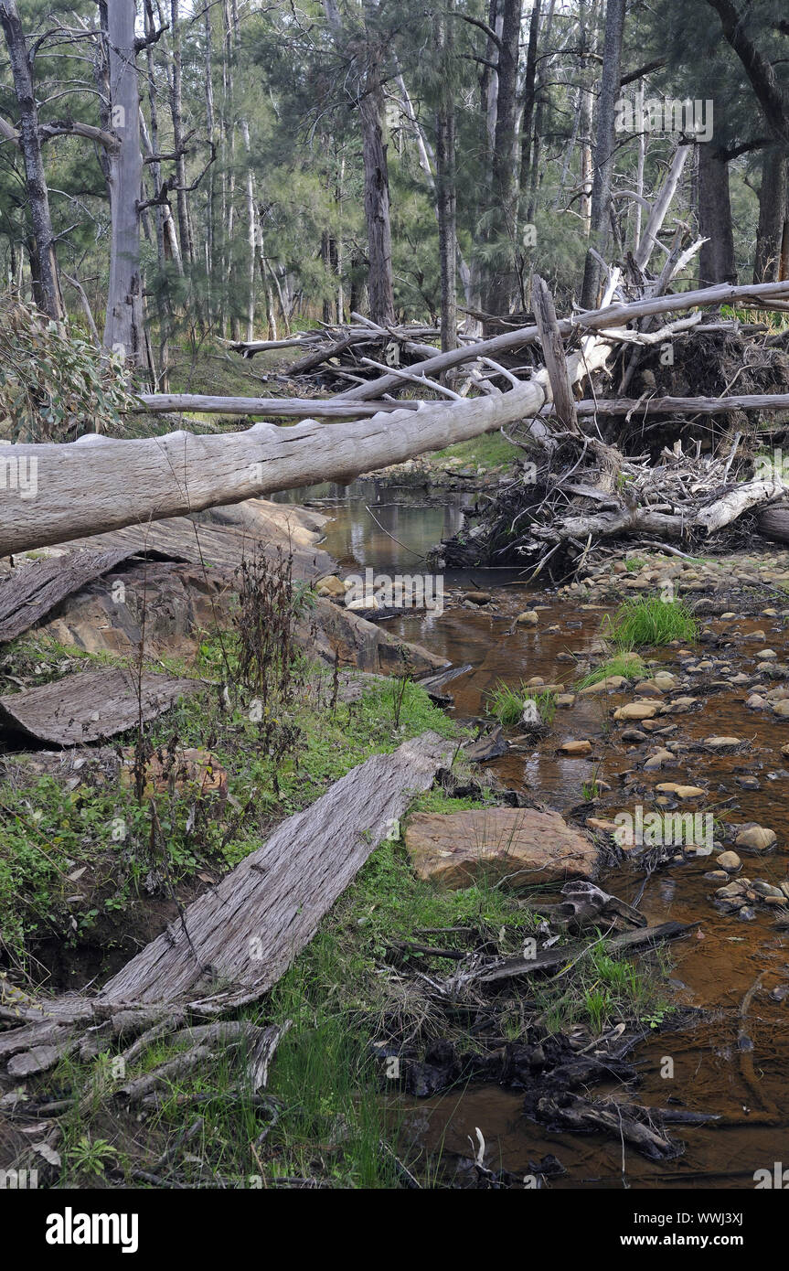 Fiume Wambelong im Warrumbungle NP, Australien Foto Stock