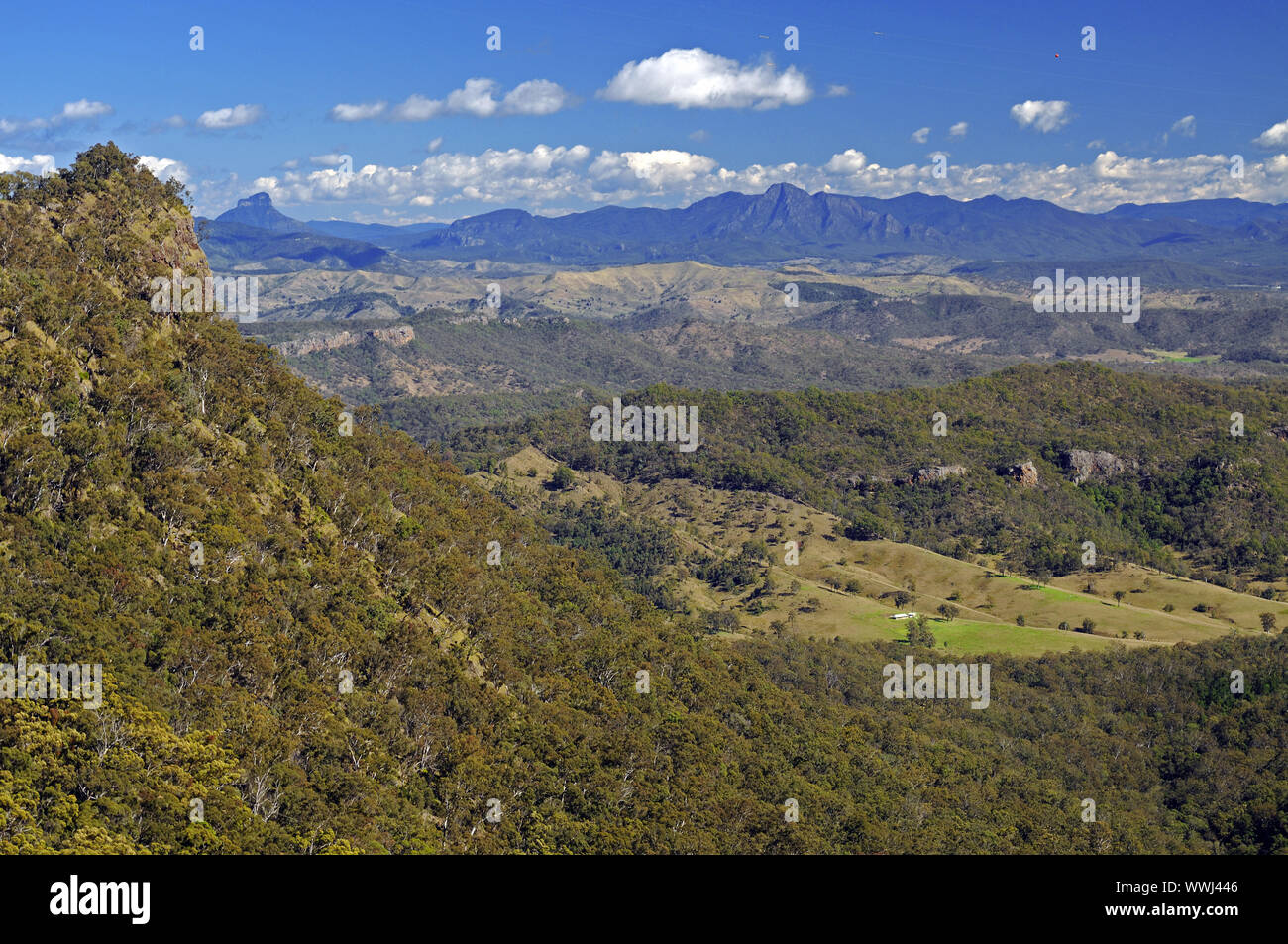 Vista sulle montagne in lamington np, australia Foto Stock