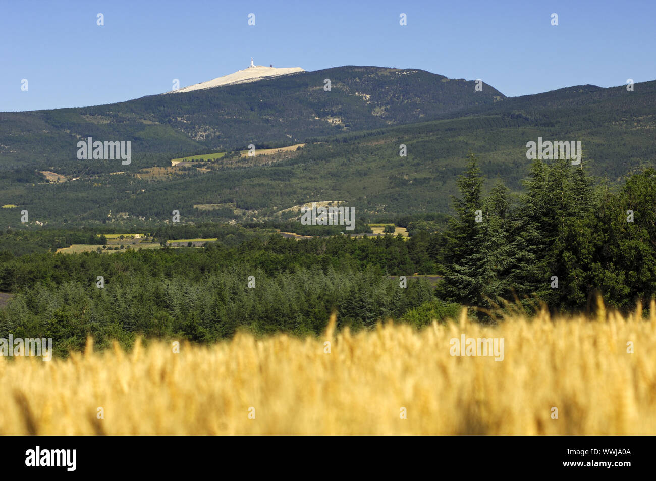 Paesaggio in Provenza, Francia Foto Stock