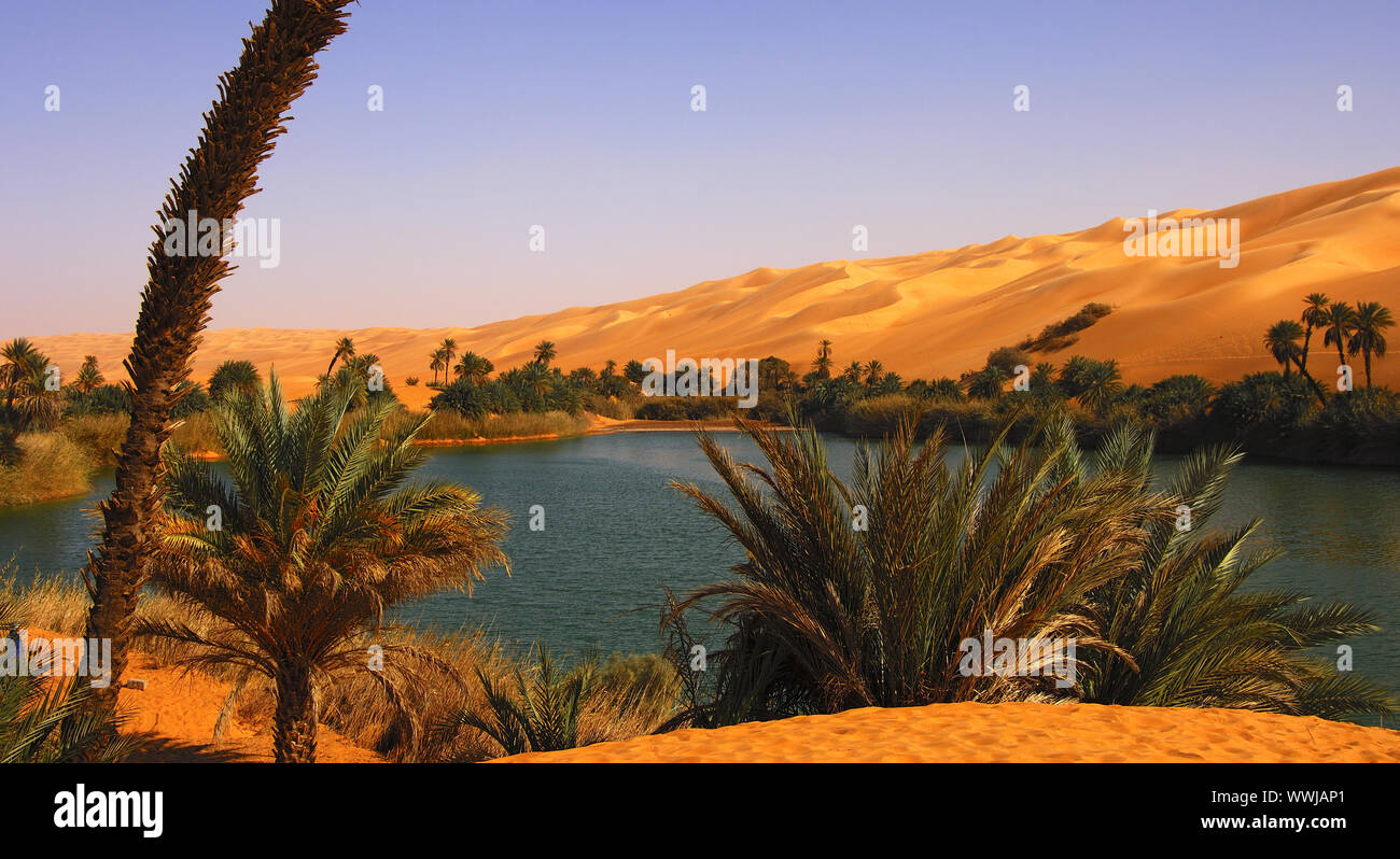 Um el Maa Lago in Ubari Mare di Sabbia, Sahara Foto Stock