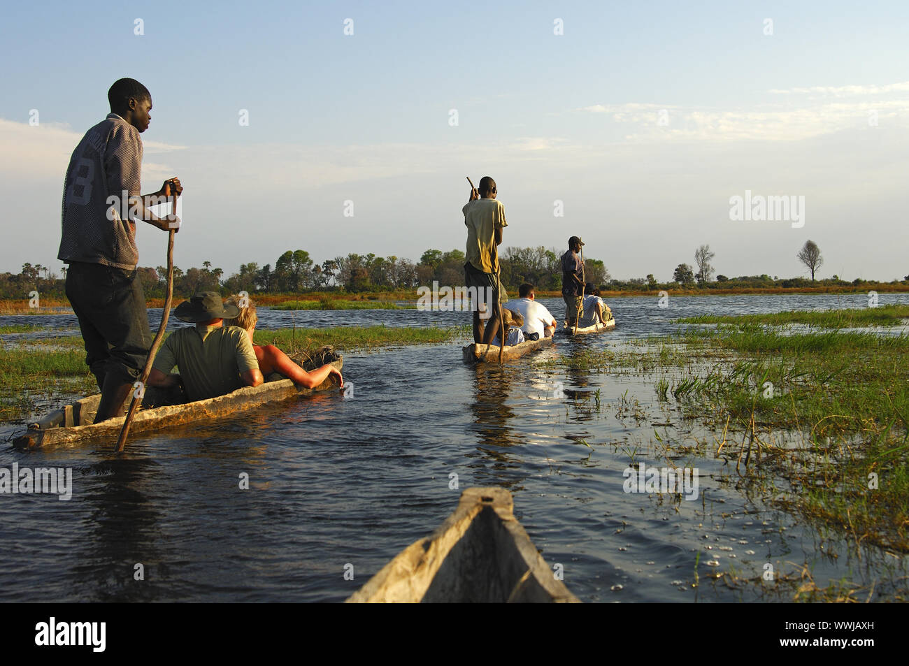 Escursione in barca nel Delta dell'Okavango Foto Stock