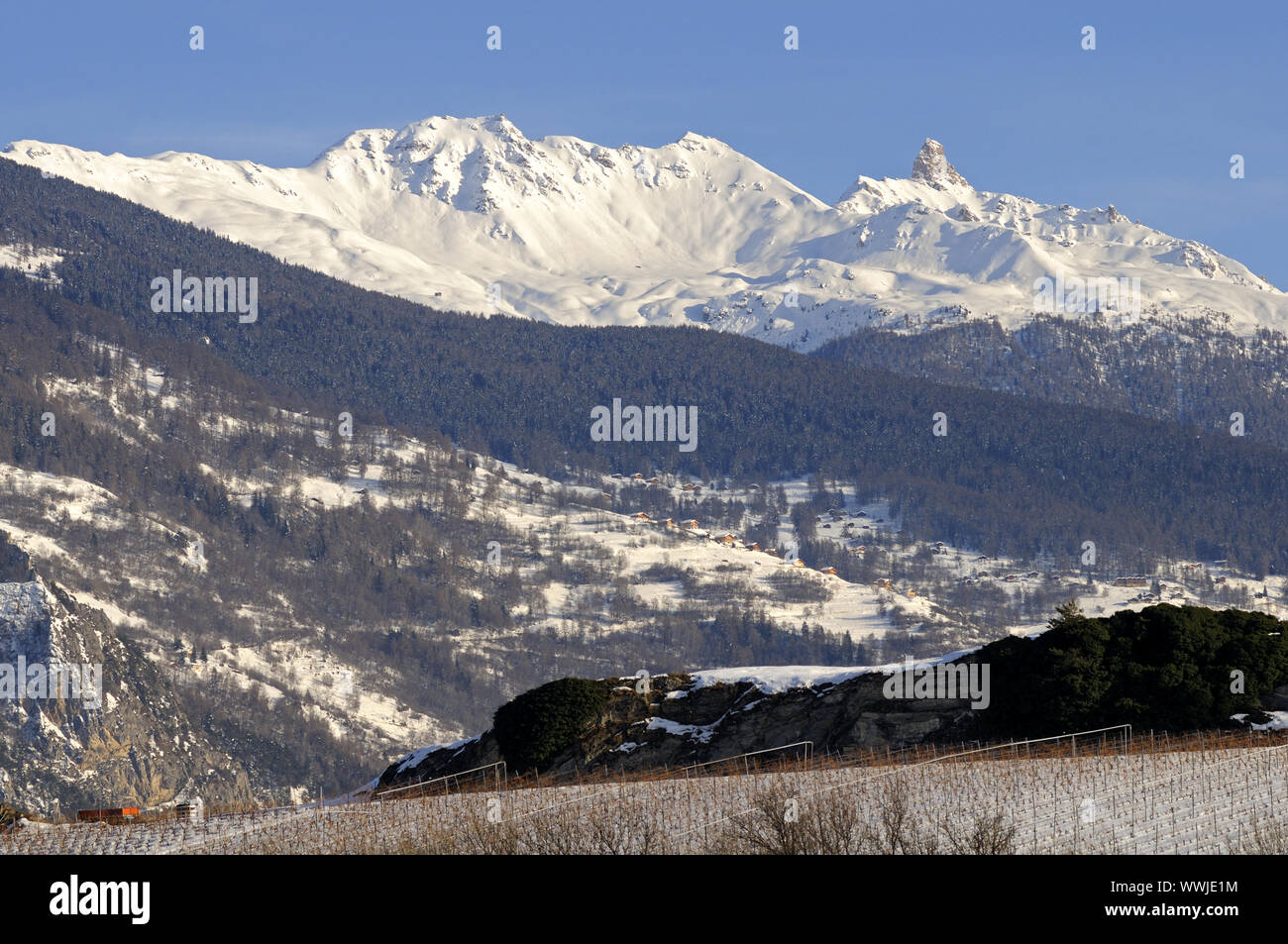 Coperte di neve montagna del massiccio delle Alpi vallesane Foto Stock