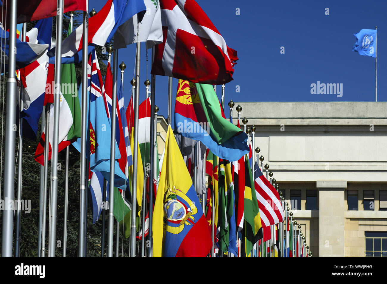 Bandiera delle Nazioni Unite corte, Ginevra, Svizzera Foto Stock
