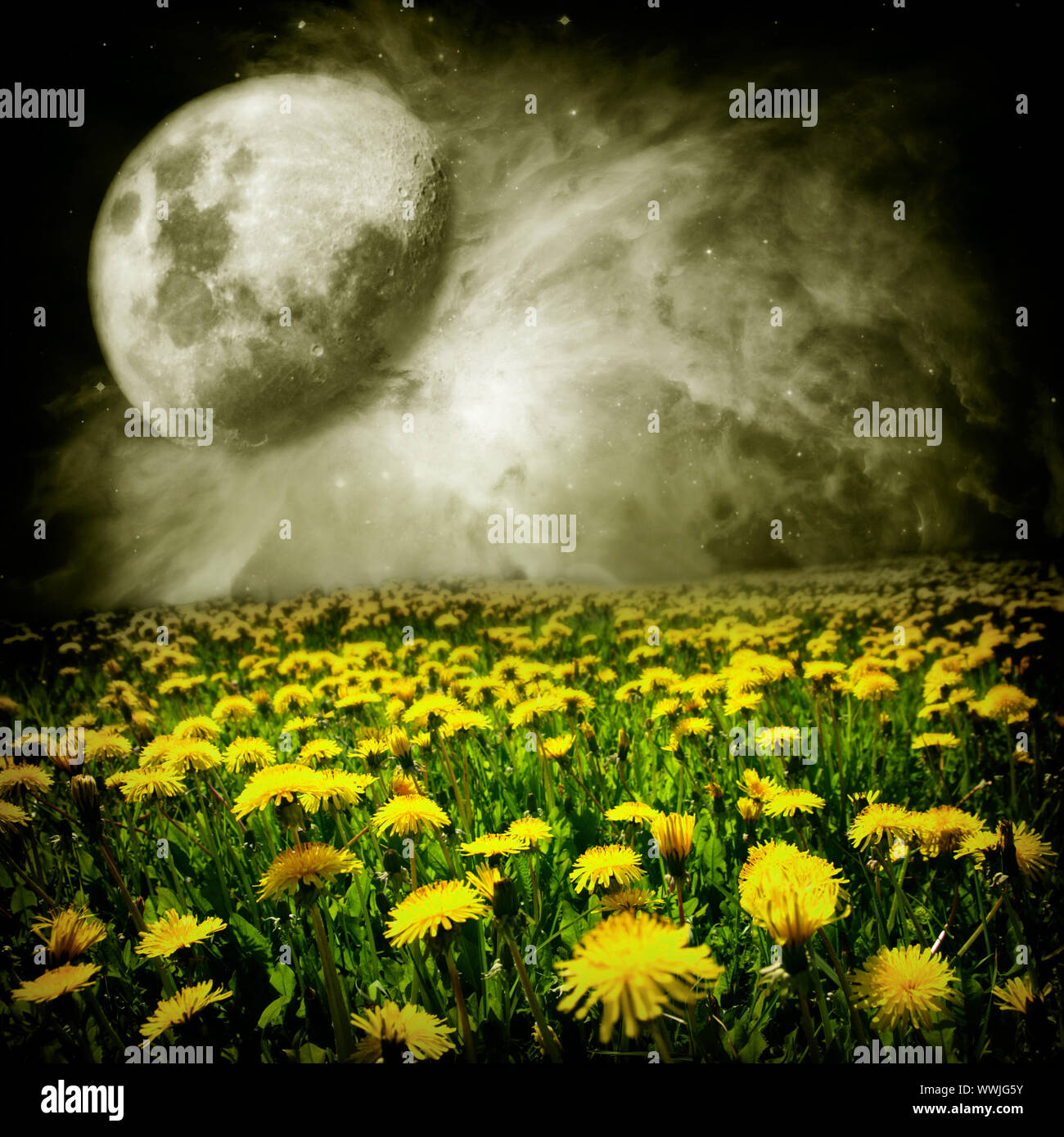 Luna su campo di tarassaco in astratto mondo dei sogni Foto Stock