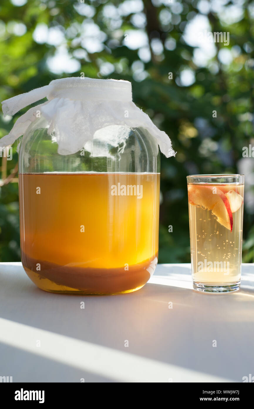Il Kombucha fermentato tè probiotici. Foto Stock