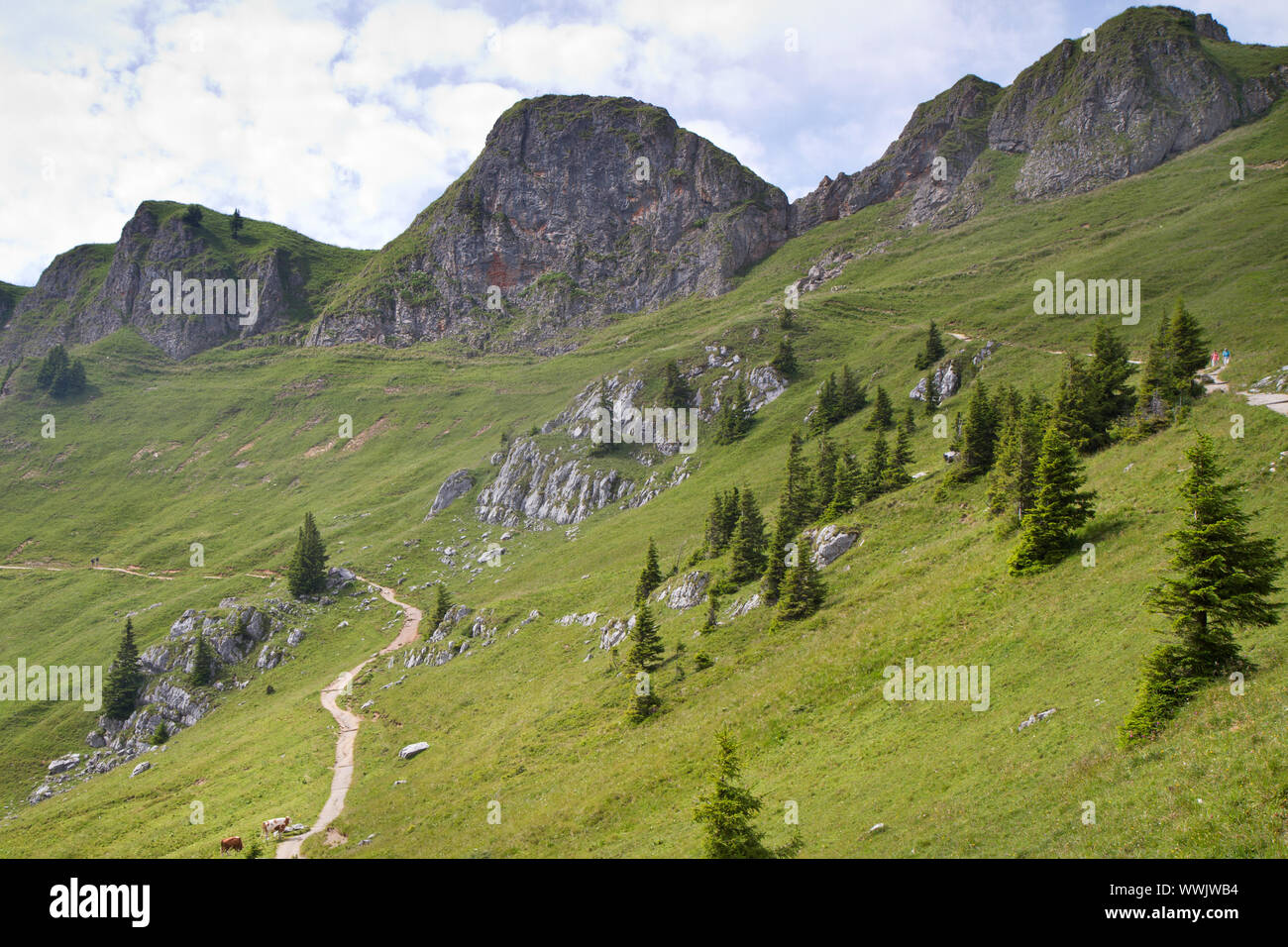 Il Rotwand del Mangfall Montagne (Alpi Bavaresi) Foto Stock