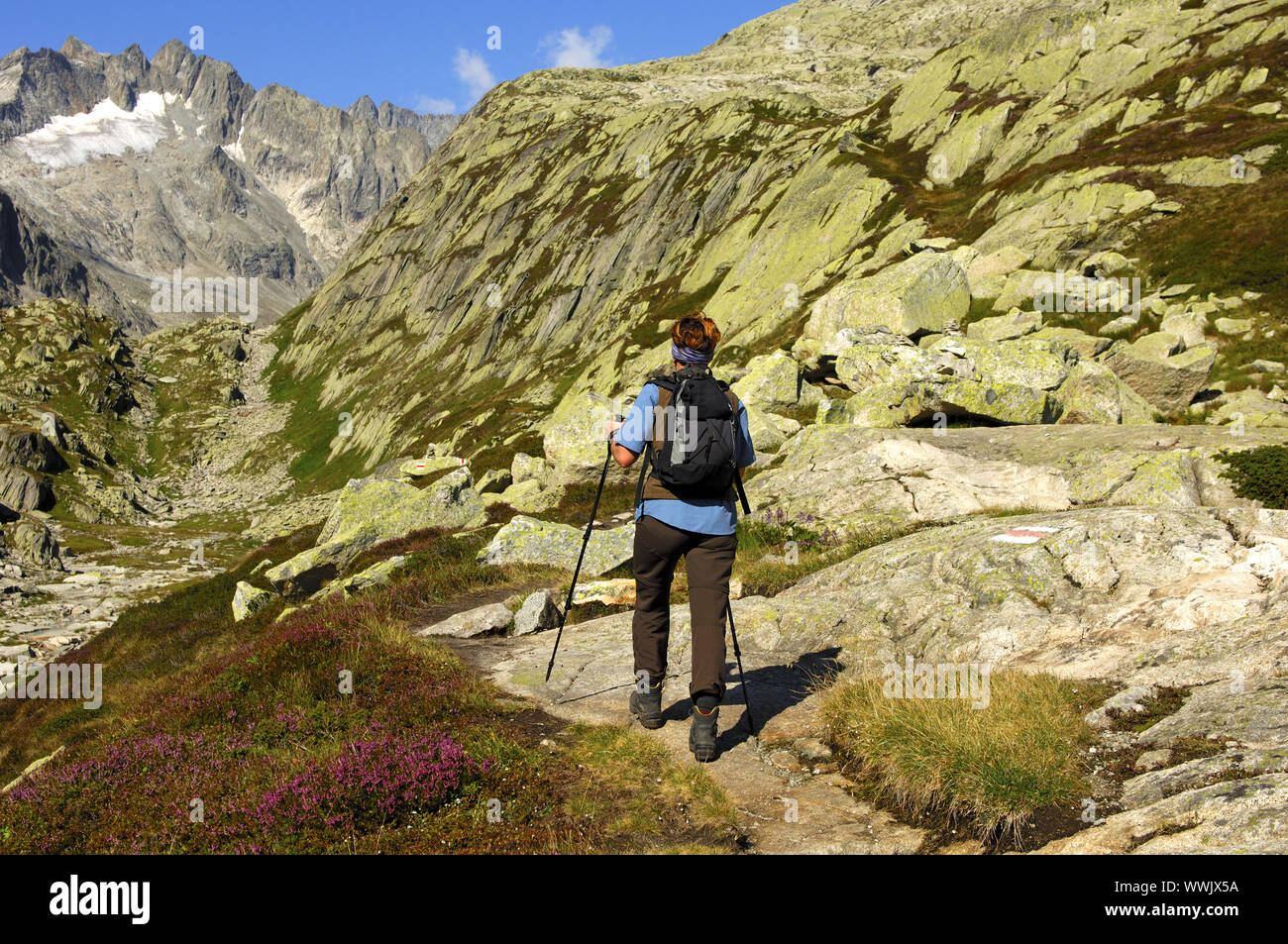 Escursione nella valle Baechlital, Grimsel regione, Schweiz Foto Stock