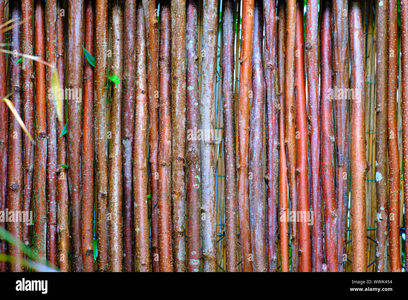 Giardino in legno sfondo di recinzione con alcune foglie verdi Foto Stock