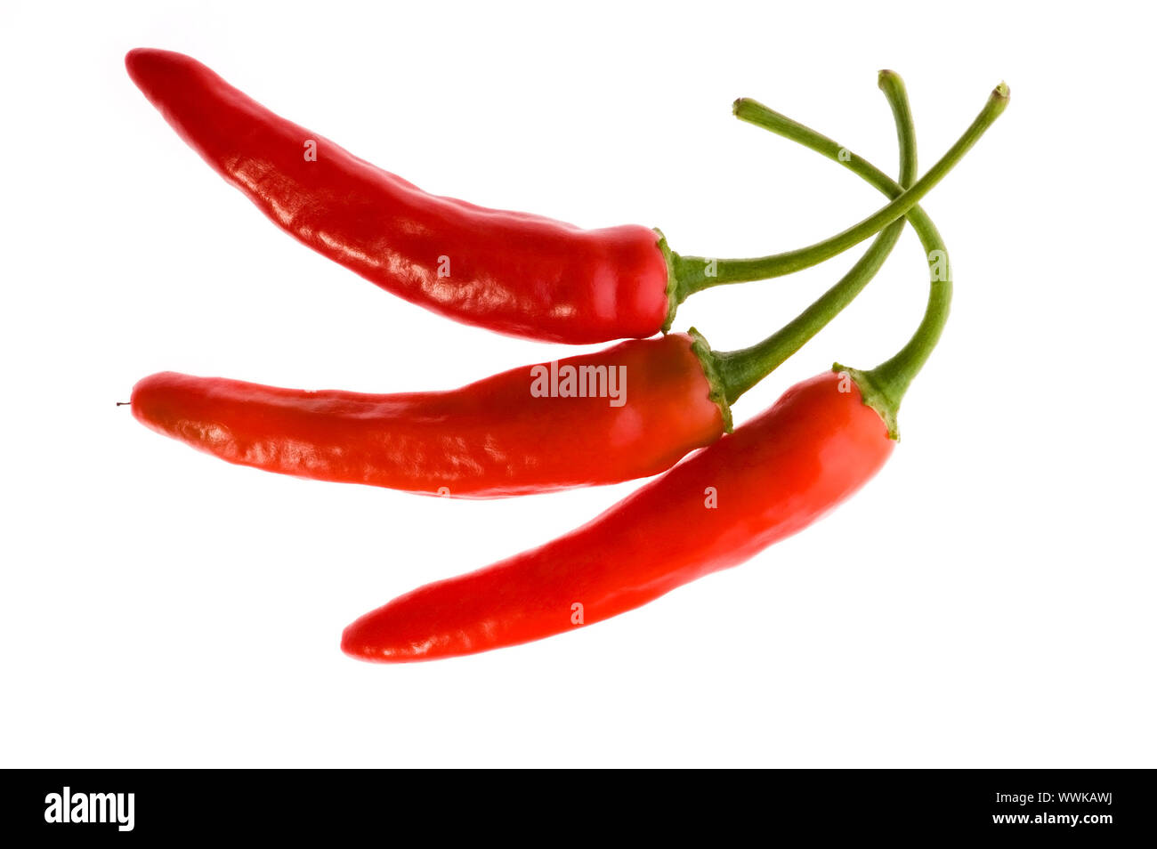 Red Hot Chili Peppers isolato su bianco Foto Stock