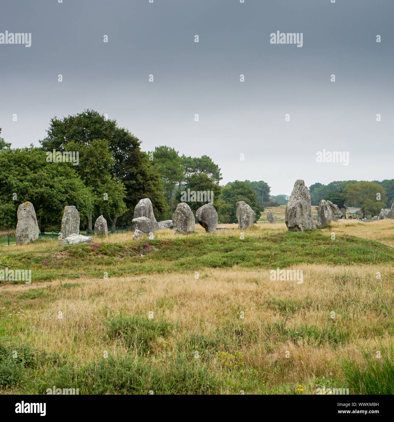 Formato quadrato viewview preistorica del monolito allineamenti di pietra in Bretagna a Carnac Foto Stock