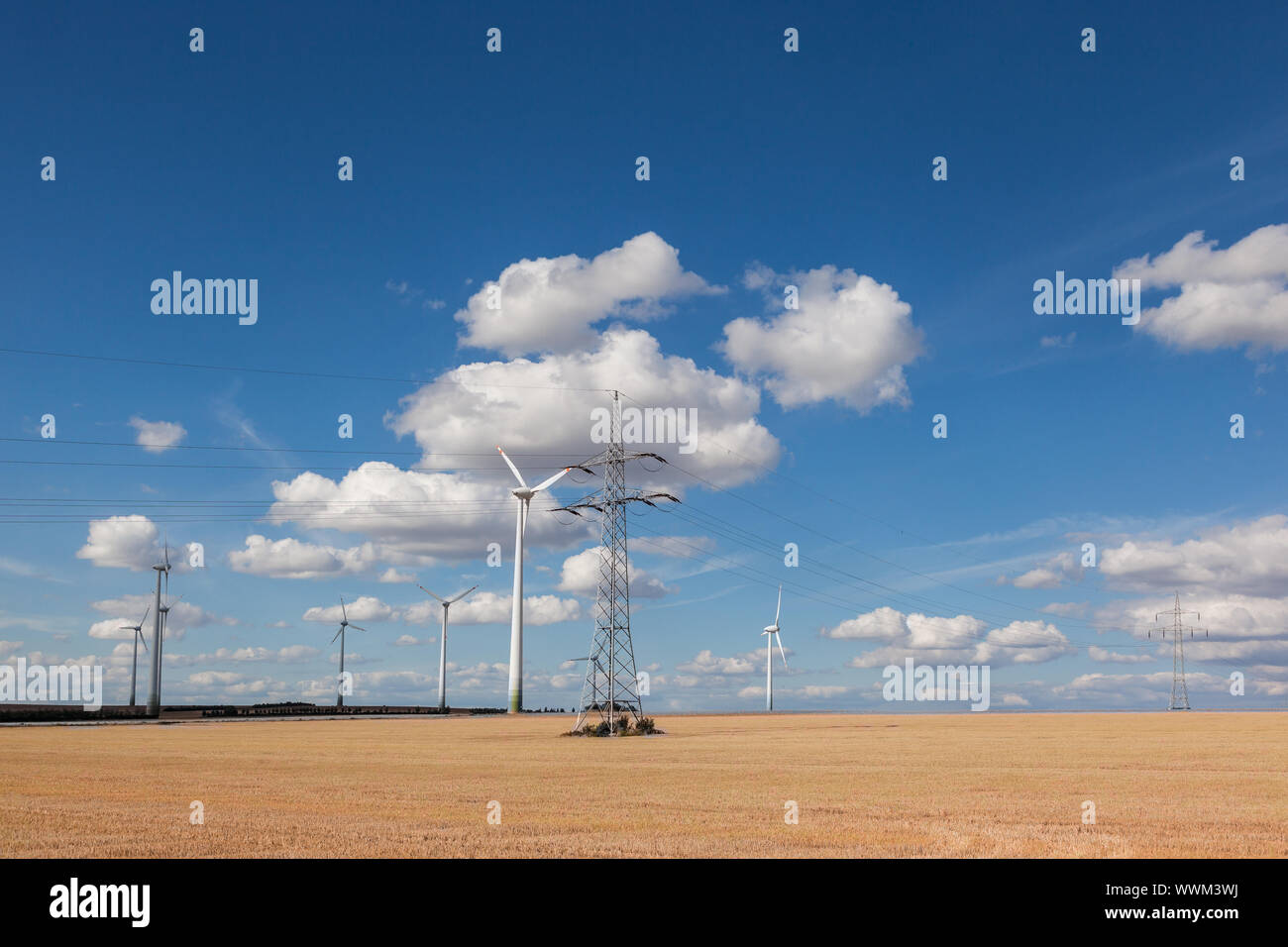 Le turbine eoliche con linea elettrica aerea Foto Stock