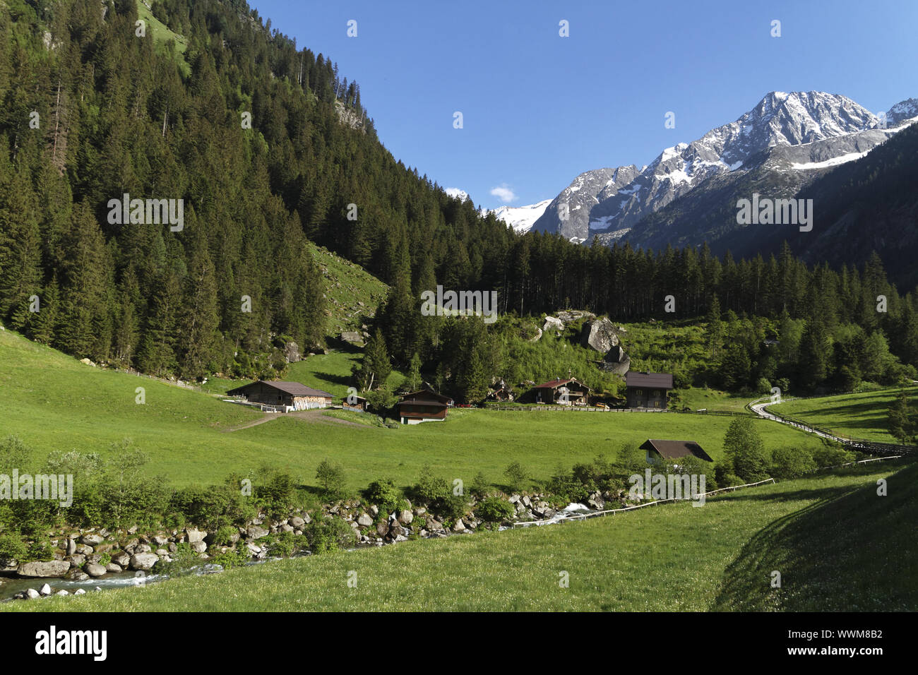 Nella bellissima valle Zillertal, Austria Foto Stock