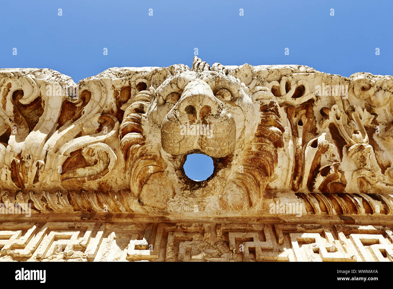 Baalbek lion (Tempio di Giove) - Baalbek, Libano Foto Stock
