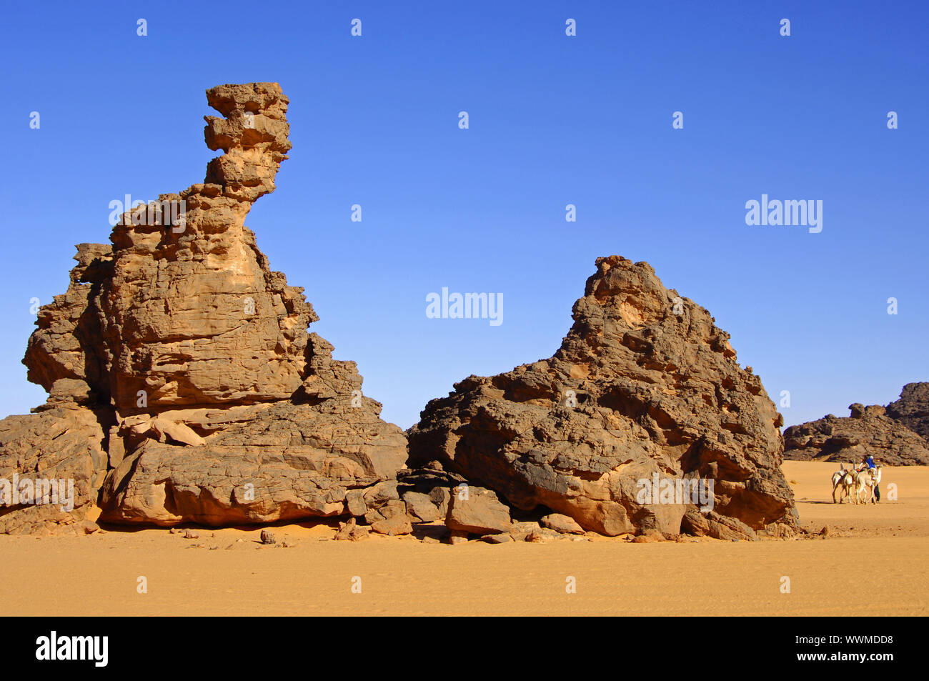 Roccia erosa nelle montagne Akakus, Sahara, Libia Foto Stock