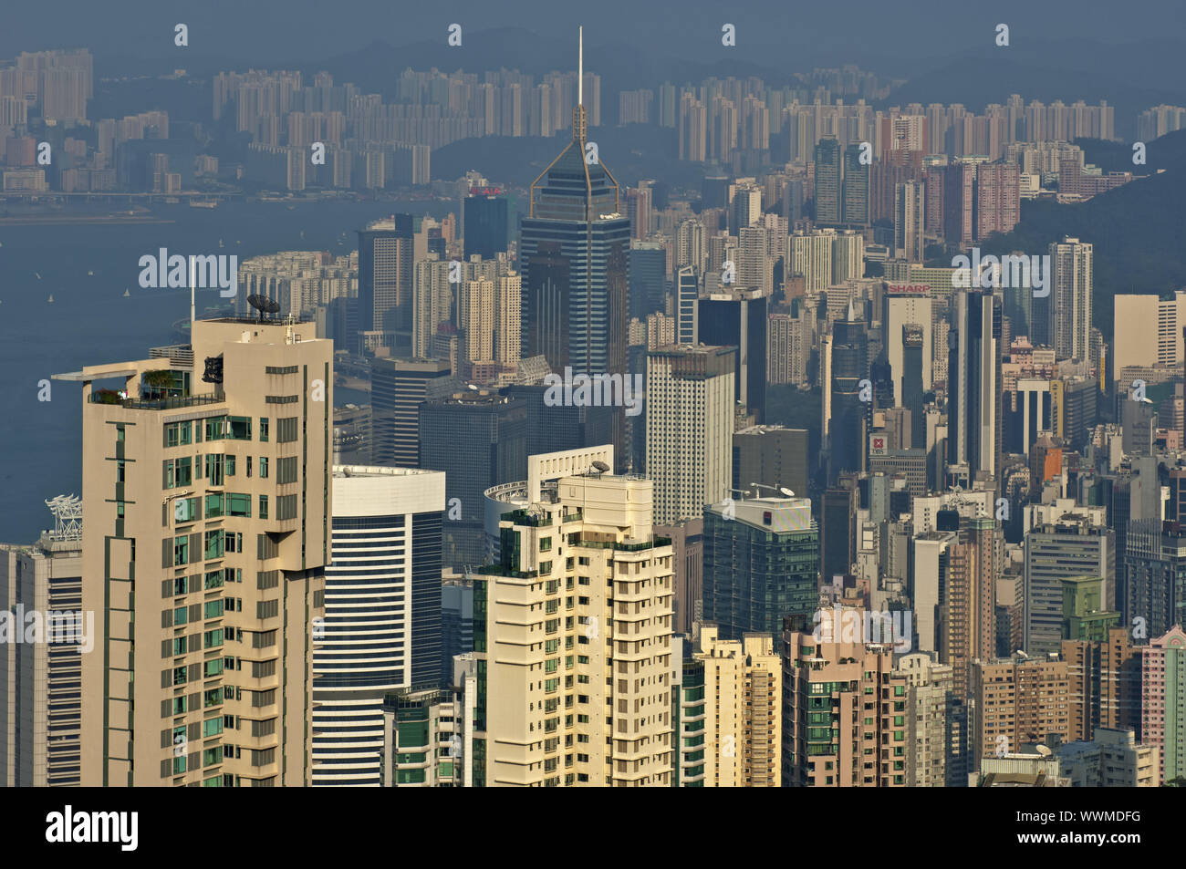 Mare di edifici ad alta nel distretto centrale di Hong Kong Foto Stock