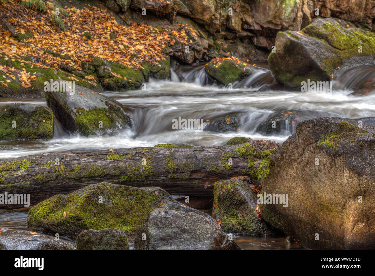 Bode Bodetal vicino a Thale Foto Stock