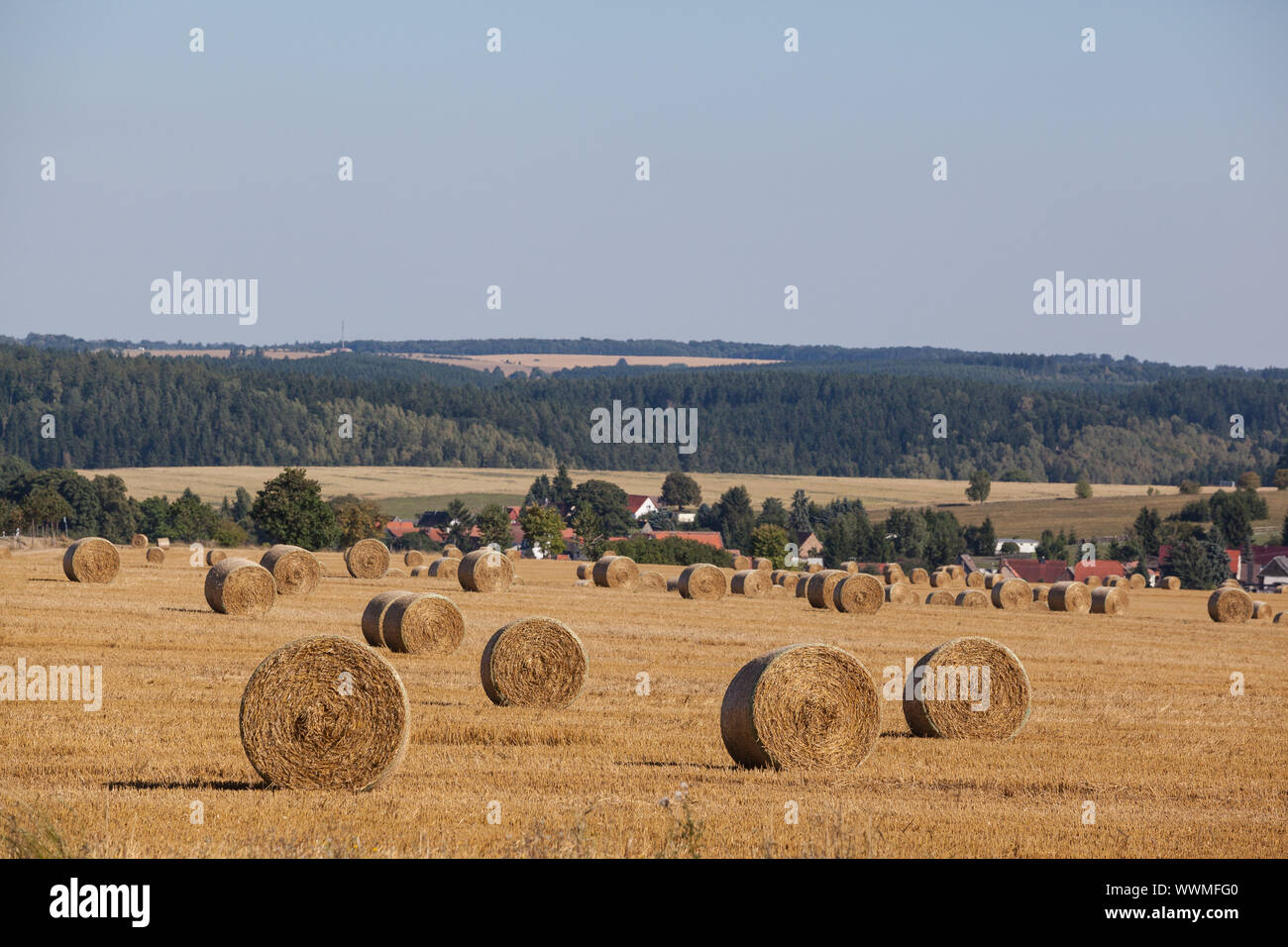 Paglia estiva immagini e fotografie stock ad alta risoluzione - Alamy