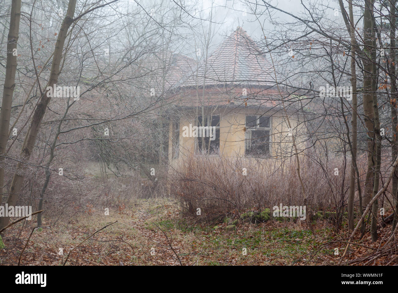 Casa in piedi nel Bosco nebbioso Foto Stock