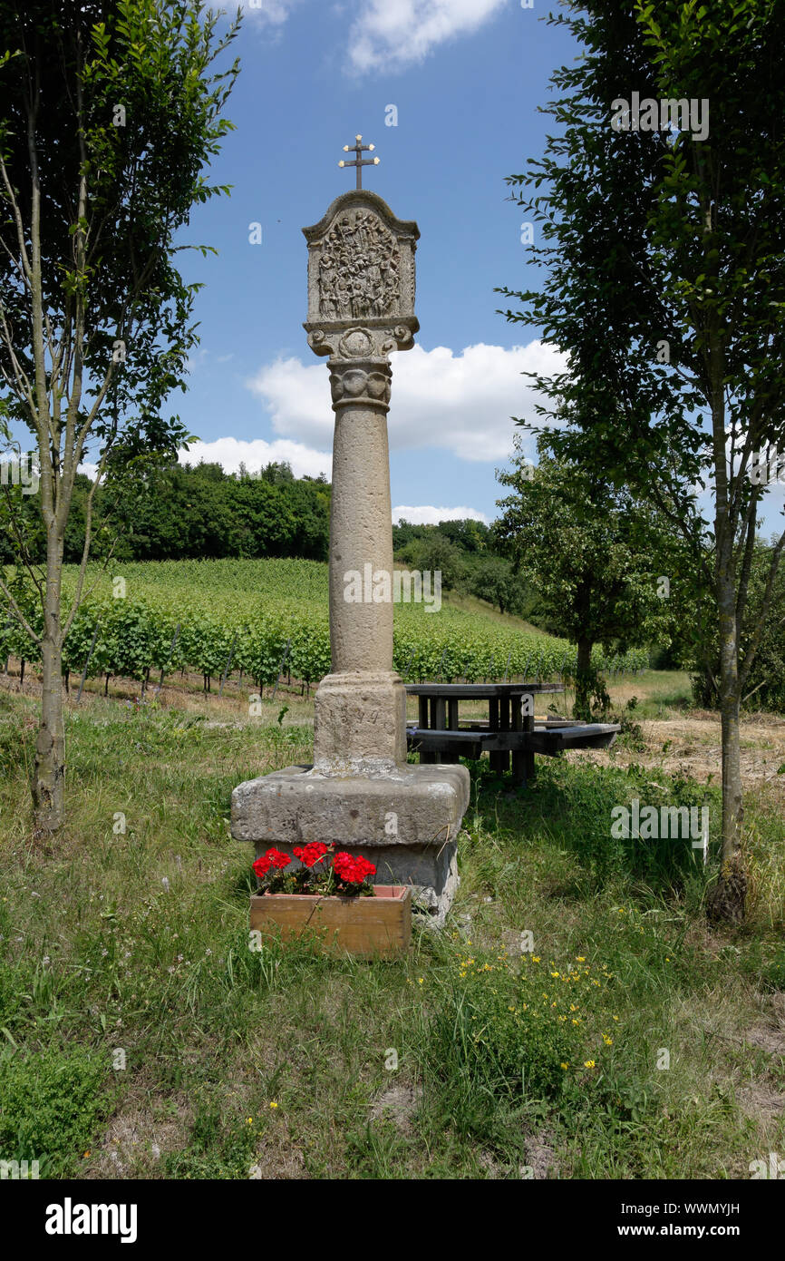 Viticoltura vicino Prüßberg, distretto di Schweinfurt Foto Stock