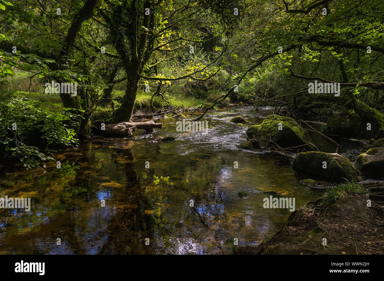 Il fiume Fowey fluente attraverso Draynes legno, un antico bosco di querce a Bodmin Moor in Cornovaglia. Foto Stock