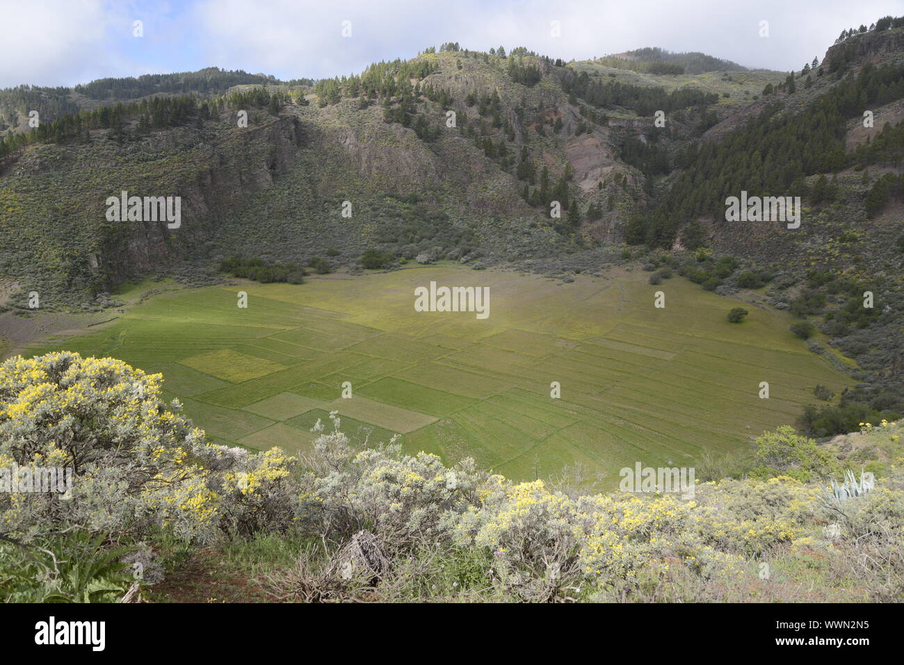 De La Caldera de los Marteles, Gran Canaria Foto Stock