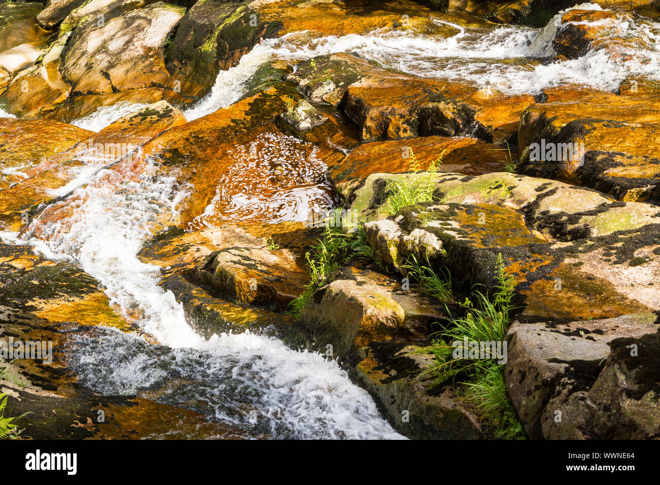 Bach Steinerne Renne Harz Foto Stock