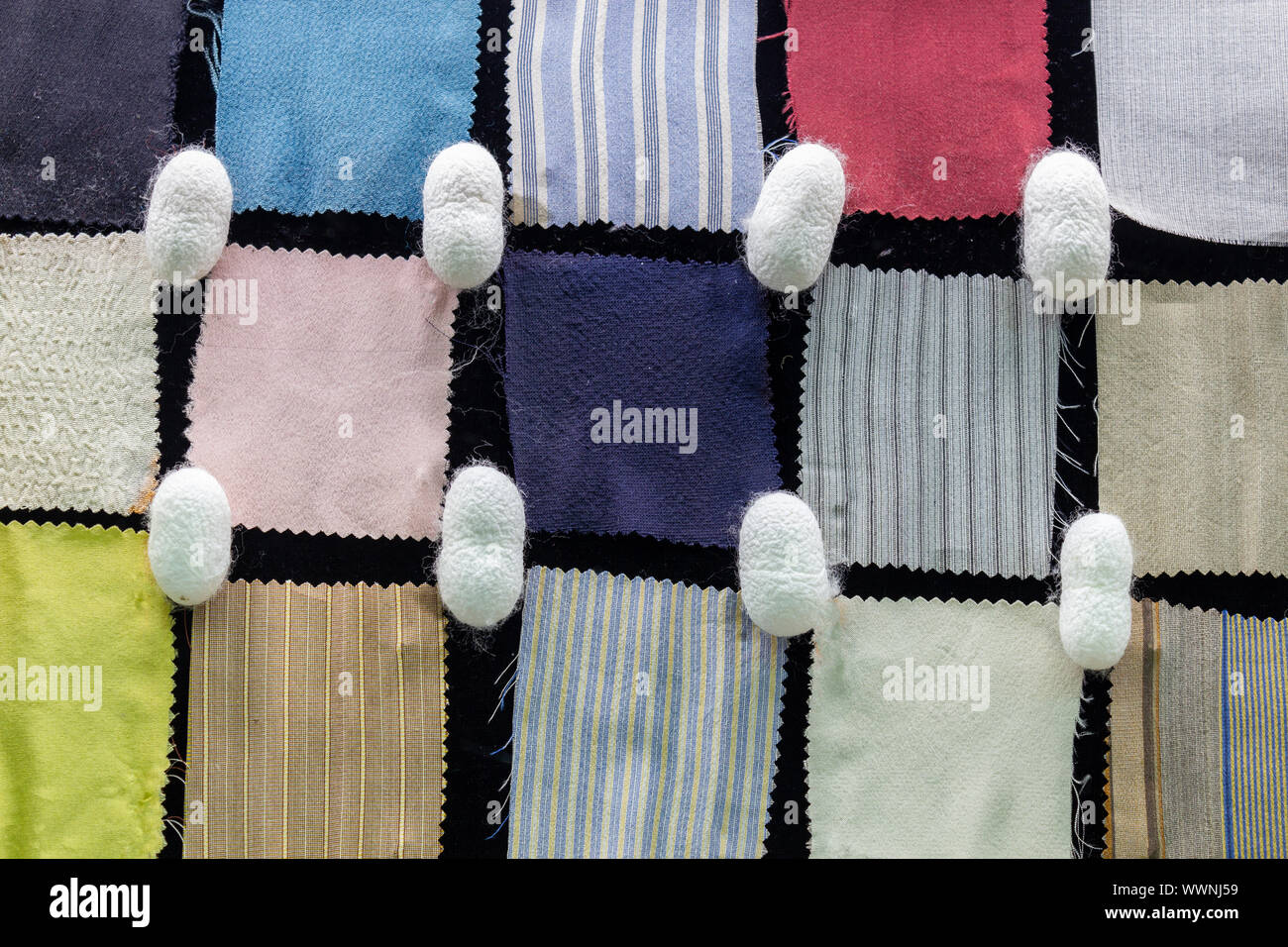 Tessuti di seta di campioni e di bozzoli di seta Foto Stock