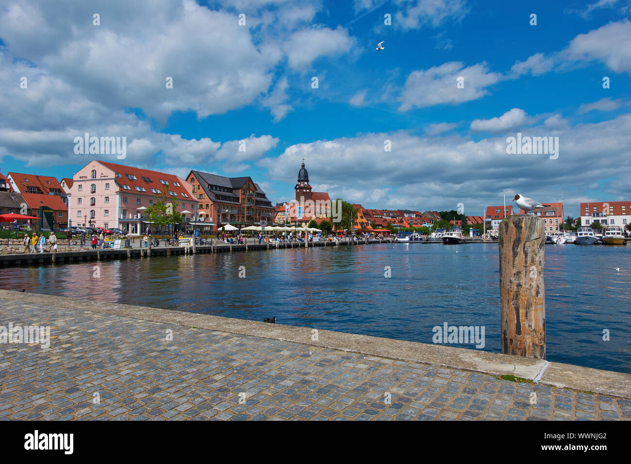 Le merci sul Müritz, Meclemburgo-Pomerania, Germania Foto Stock