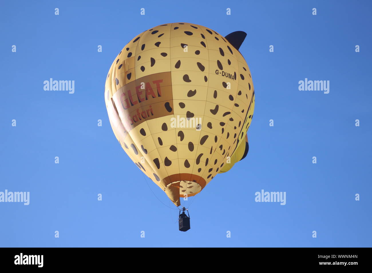 Longleat sky safari, palloncini sagomati Cheatah Foto Stock