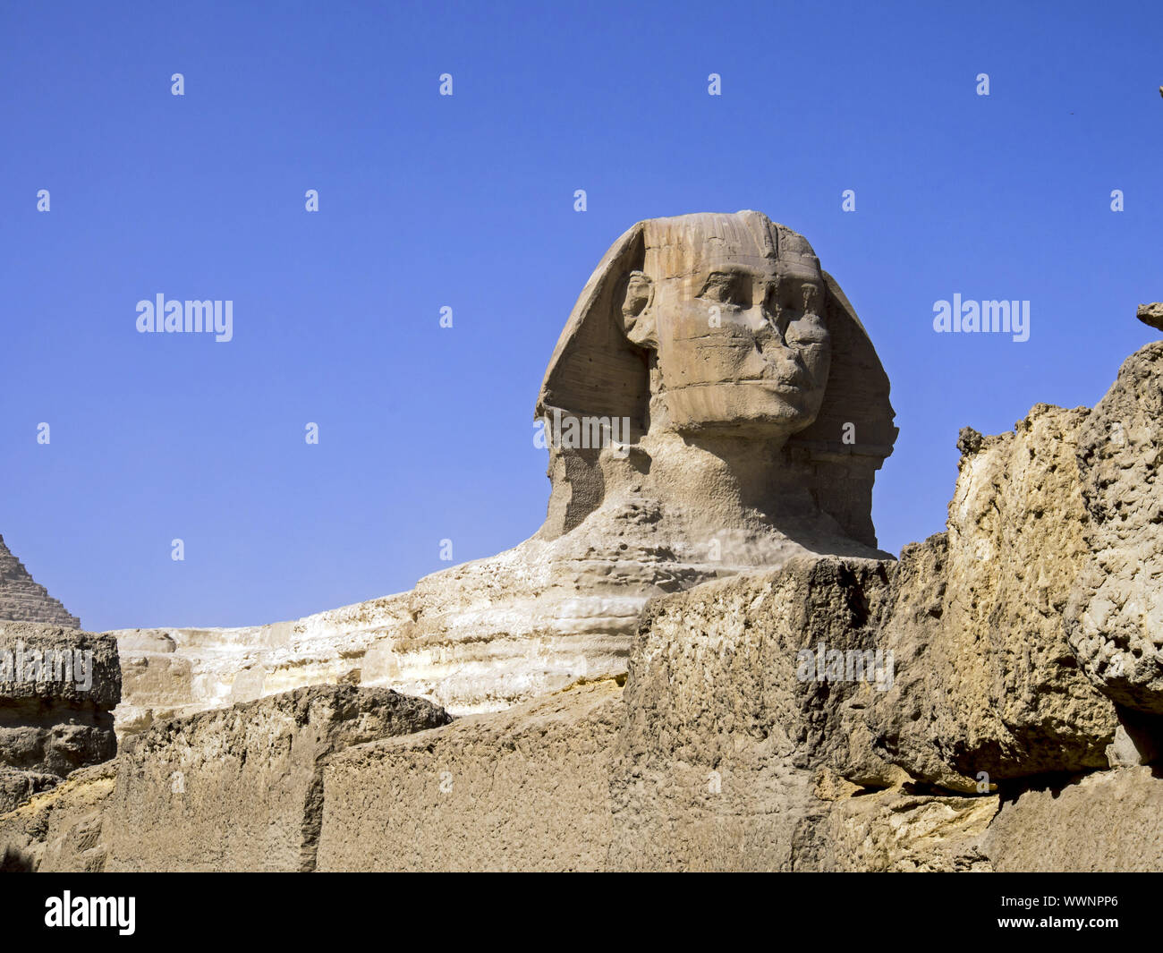 Grande Sfinge di Giza Foto Stock