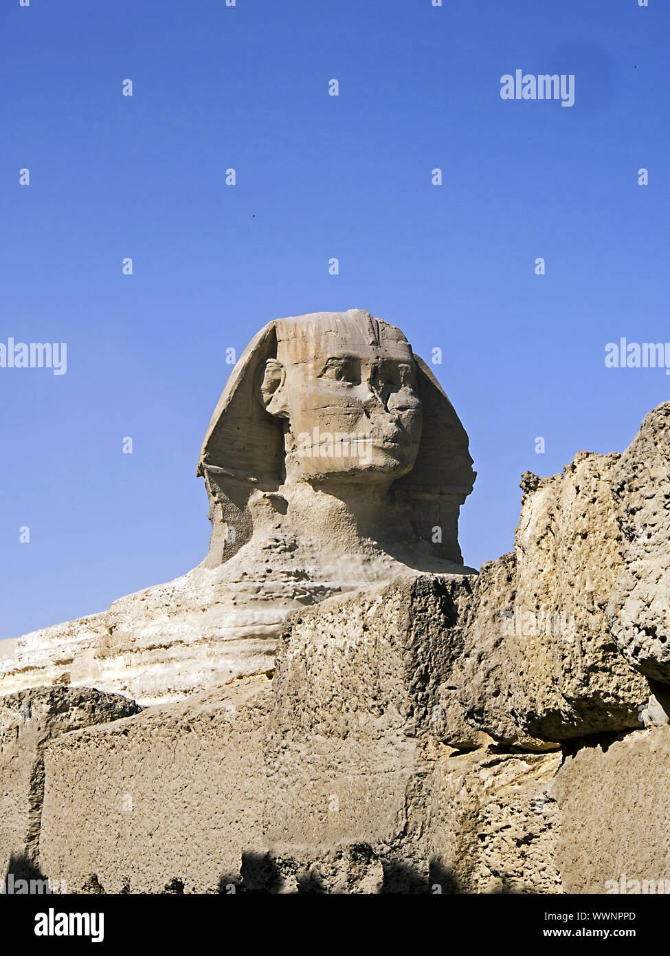 Grande Sfinge di Giza Foto Stock