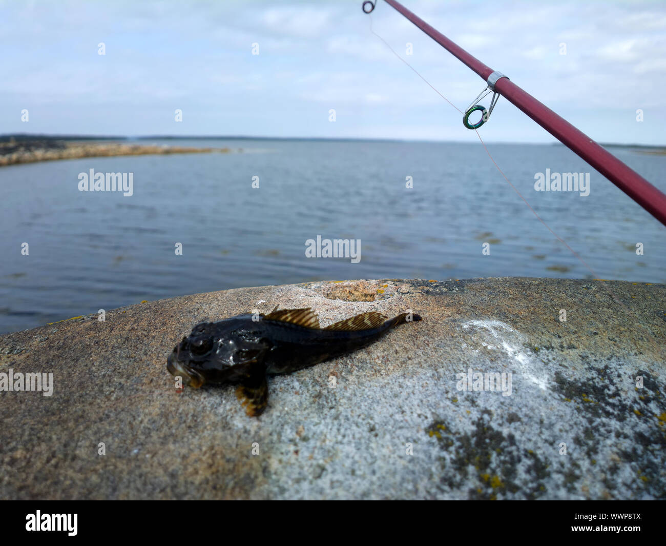 La pesca in mare a nord del circolo polare artico Foto Stock