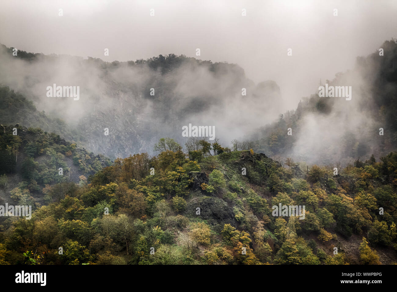 Vista in Bodetal valley nella nebbia Foto Stock