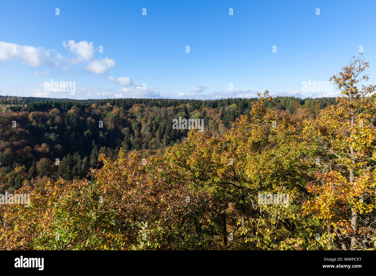 Visualizzare Selketal in autunno Foto Stock