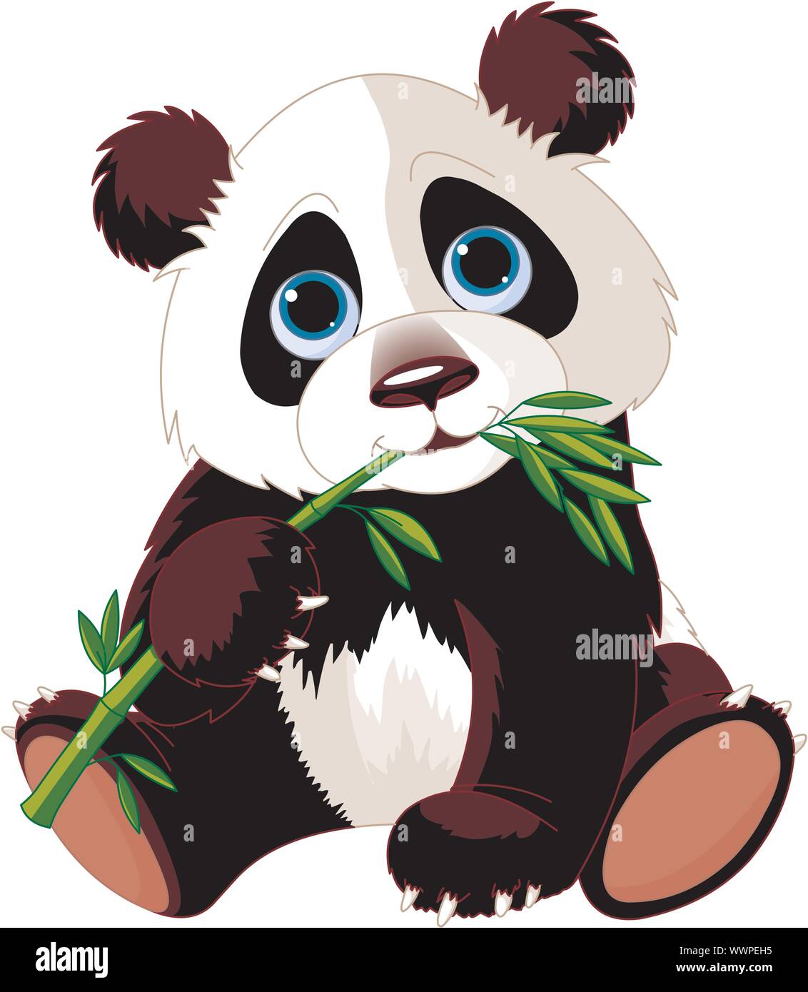Panda di mangiare il bambù Immagine e Vettoriale - Alamy