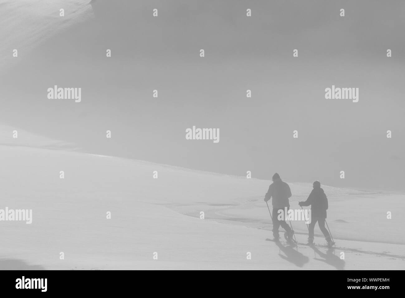 Paesaggio di ghiaccio Oderteich Foto Stock