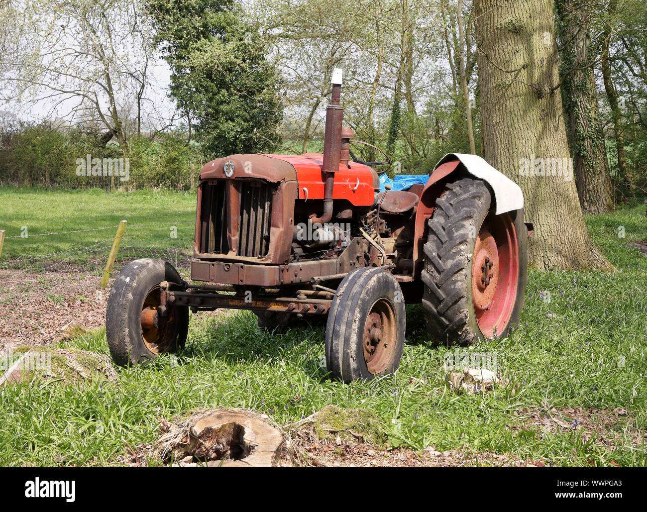 Vecchio Fordson trattore in un bosco inglese Glade in primavera Foto Stock