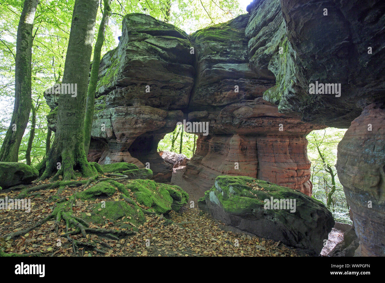Il vecchio castello di roccia, monumento naturale Foto Stock