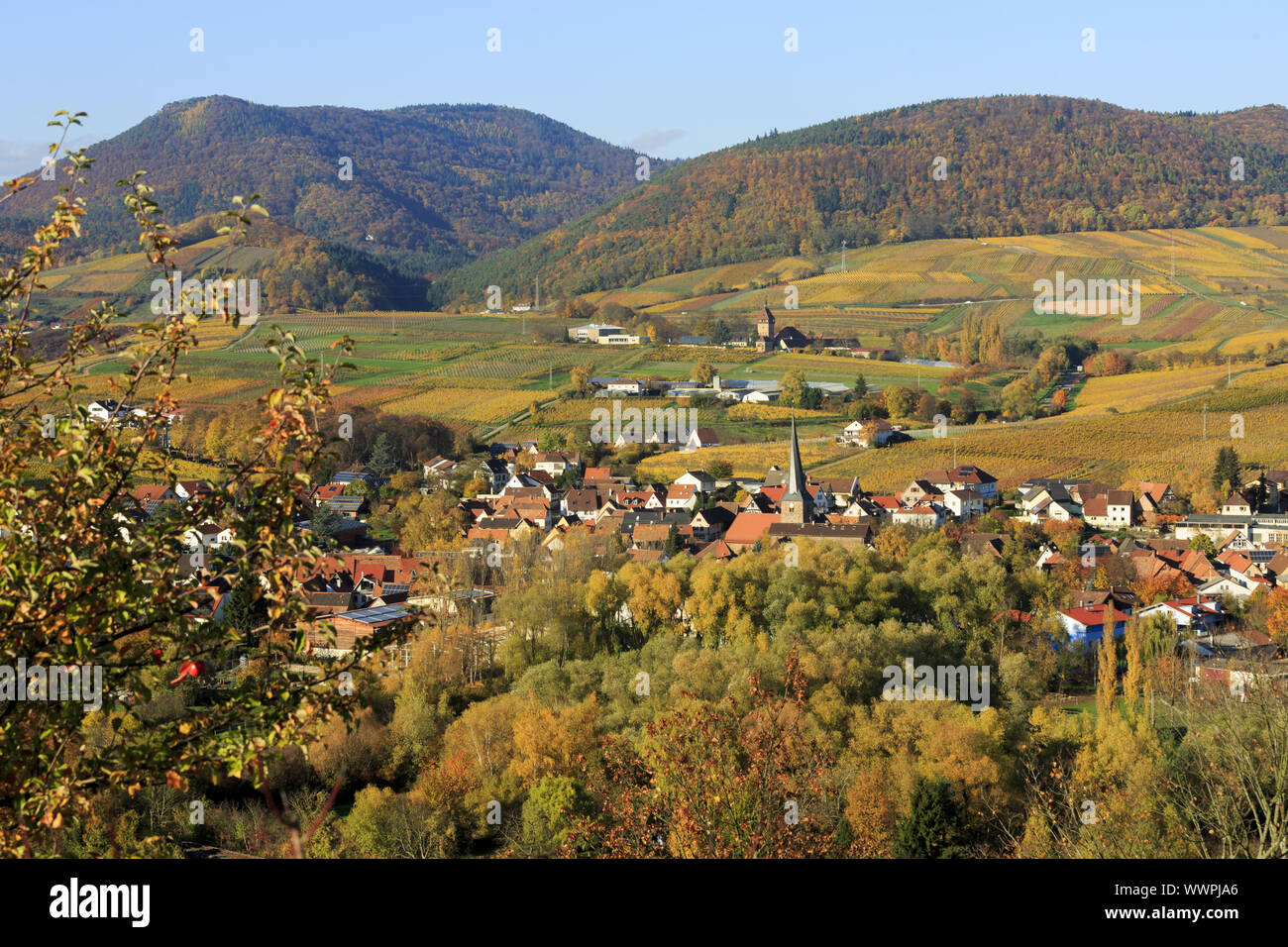 Sud della Strada del Vino Foto Stock