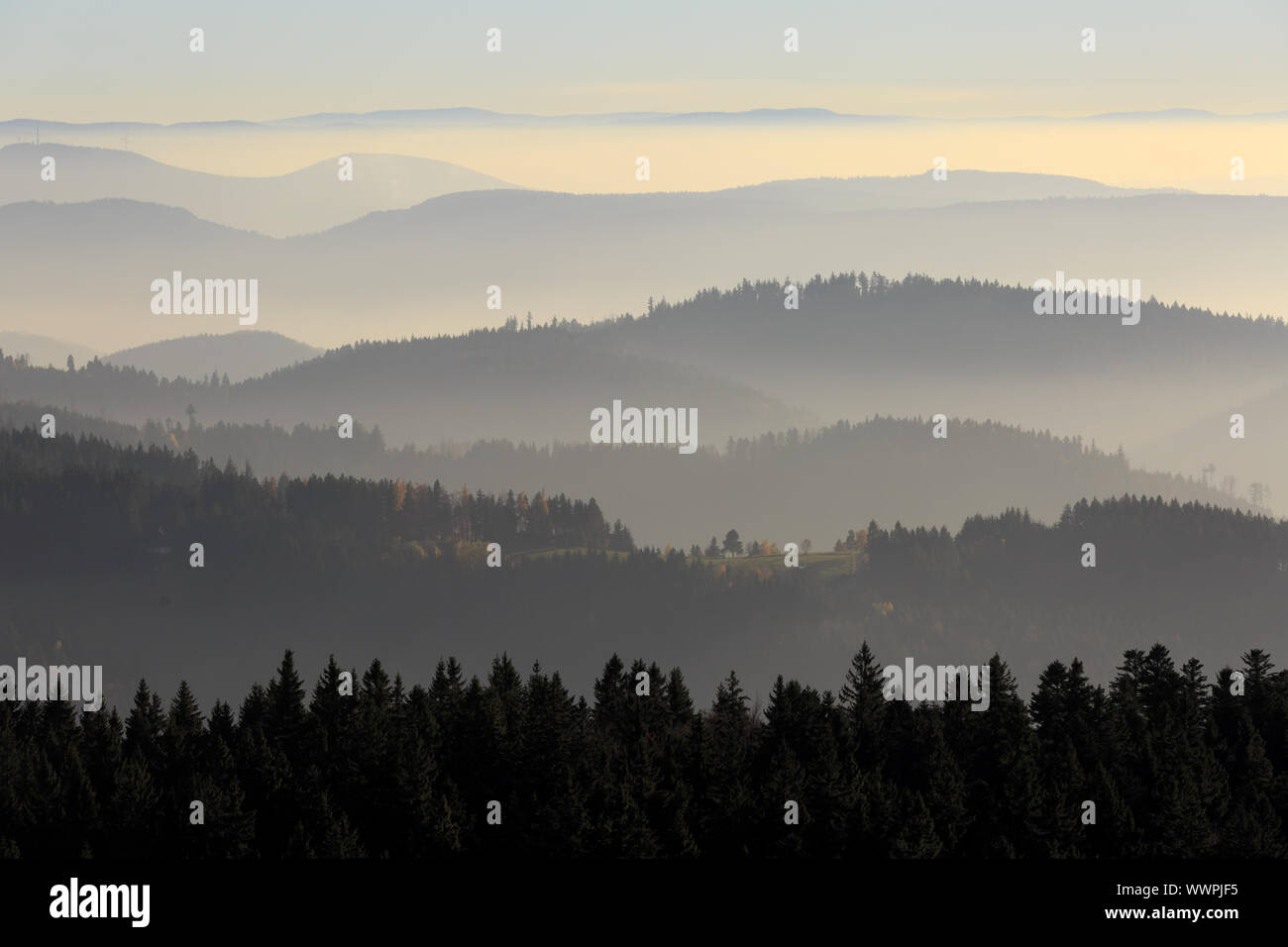 Black Forest National Park Foto Stock