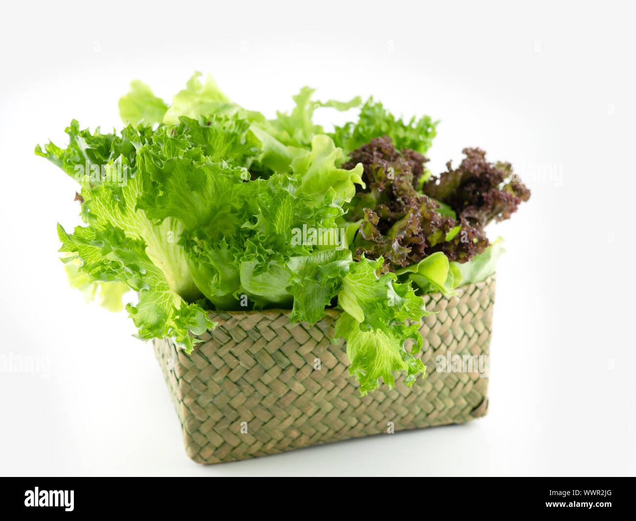 Foglia di insalata. La lattuga nel cestello verde isolato su sfondo bianco, fresca e insalata verde insalata, sfondo per l'inserimento di testo Foto Stock