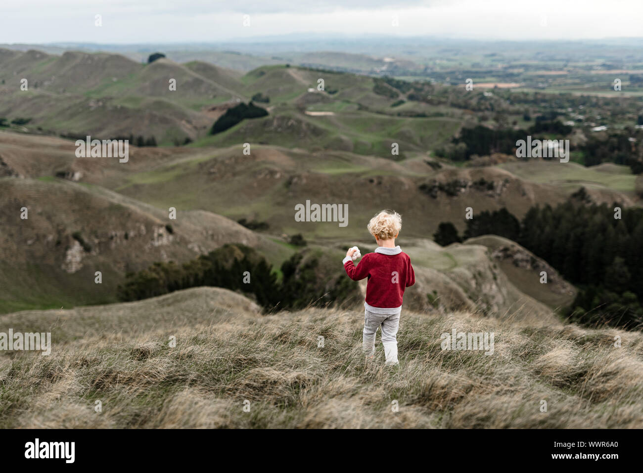 Ragazzo giovane escursionismo attraverso la collina in Nuova Zelanda Foto Stock