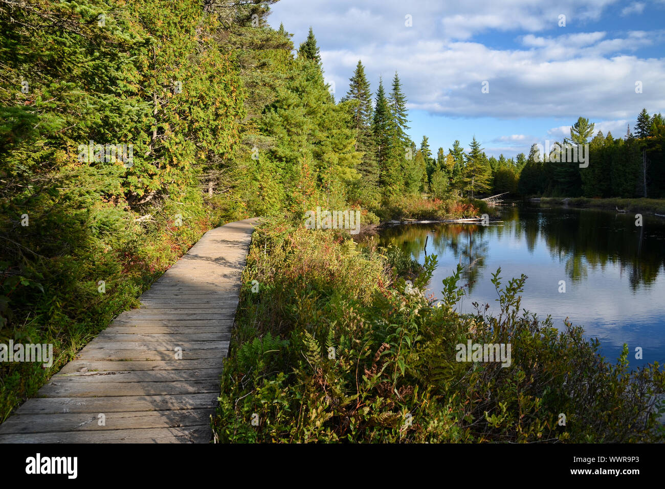 La Mauricie National Park tipico paesaggio della provincia del Quebec, Canada. Foto Stock