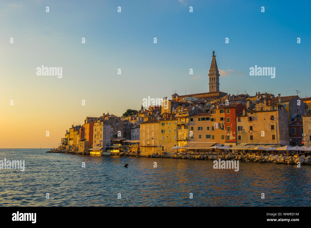 Città vecchia di Rovigno al tramonto, Istria, Croazia Foto Stock