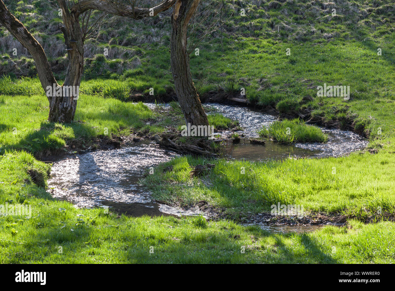 Schwarzatal Foresta Turingia Brook corso Foto Stock