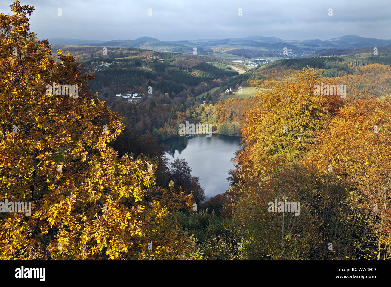 Gemuendener Maar in autunno, Daun, Eifel, Renania-Palatinato, Germania, Europa Foto Stock